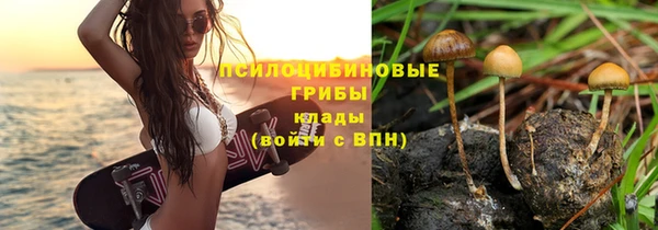 кокаин колумбия Бородино