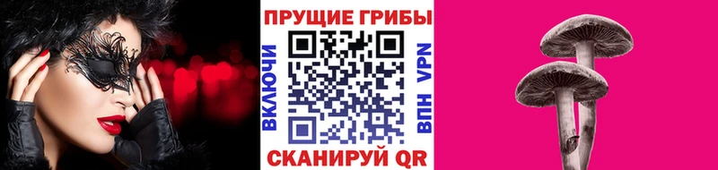 Купить где  Нововоронеж  Псилоцибиновые грибы MAGIC MUSHROOMS 